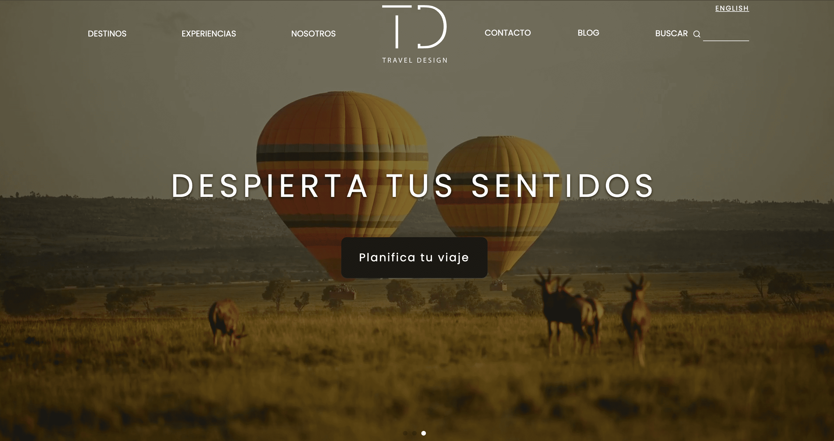 Páginas web